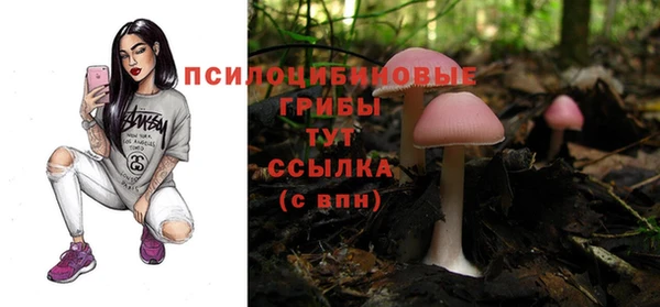 мескалин Баксан