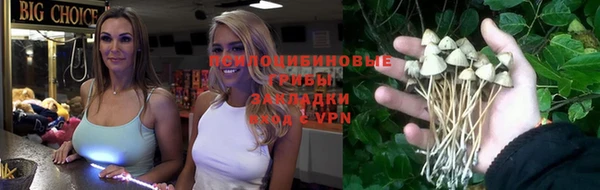 прущие грибы Балабаново