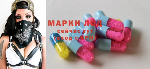 прущие грибы Балабаново
