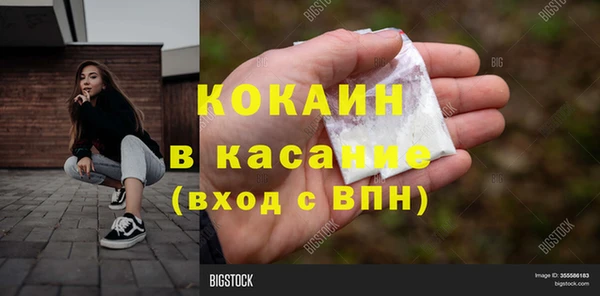 прущие грибы Балабаново
