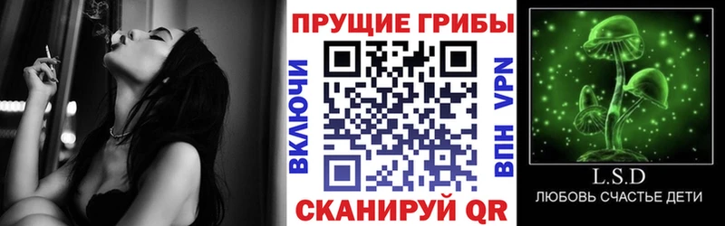 купить наркоту  Сатка  blacksprut онион  Псилоцибиновые грибы Magic Shrooms 